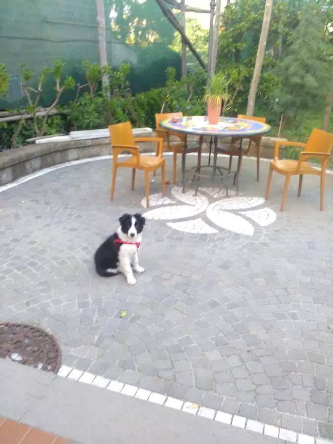 Domus Felix Bed & Breakfast Sorrento Eksteriør bilde